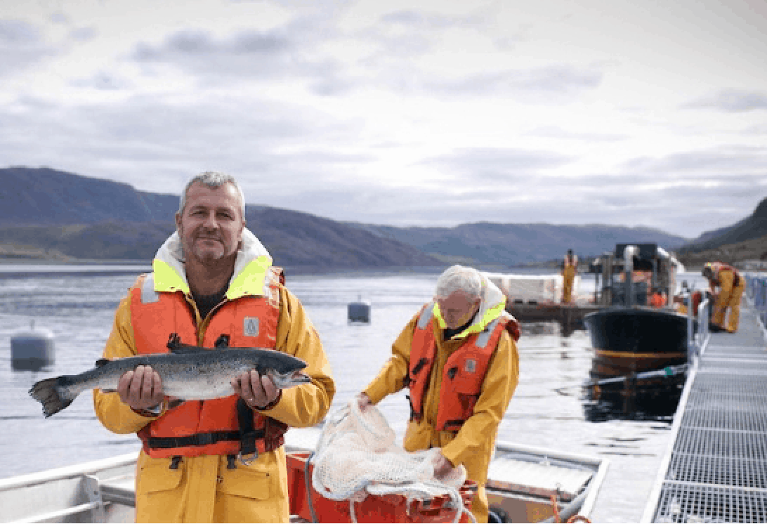 Pêcheurs de saumon sauvage